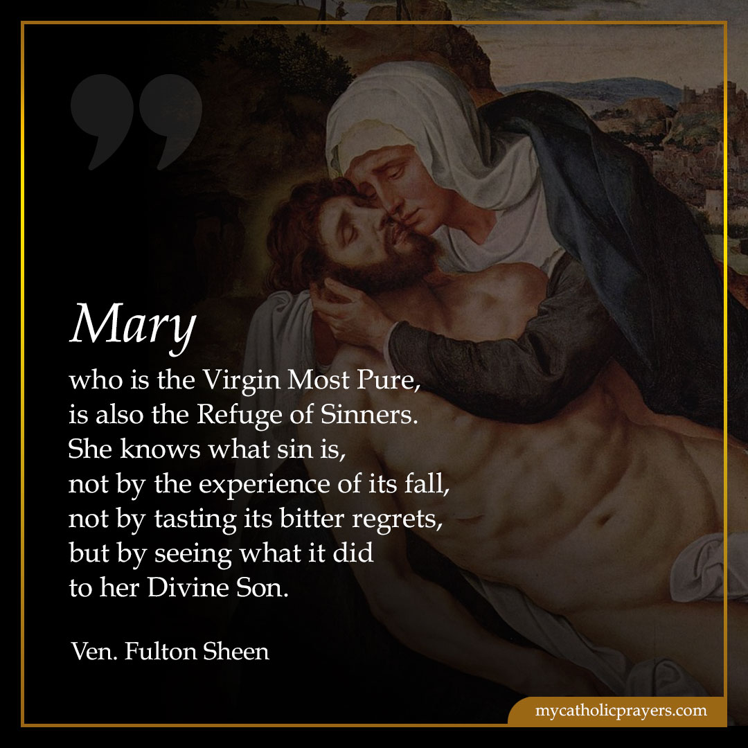 Mary, who is the Virgin Most Pure, is also the Refuge of Sinners Quote By Venerable Fulton Sheen